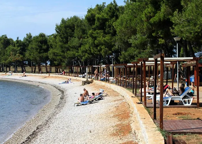 Family Friendly With A Swimming Pool Veli Mlun, Istria - Sredisnja Istra - 13099 Lejlighed