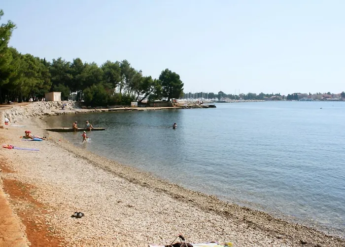 Family Friendly With A Swimming Pool Veli Mlun, Istria - Sredisnja Istra - 13099 Lejlighed *