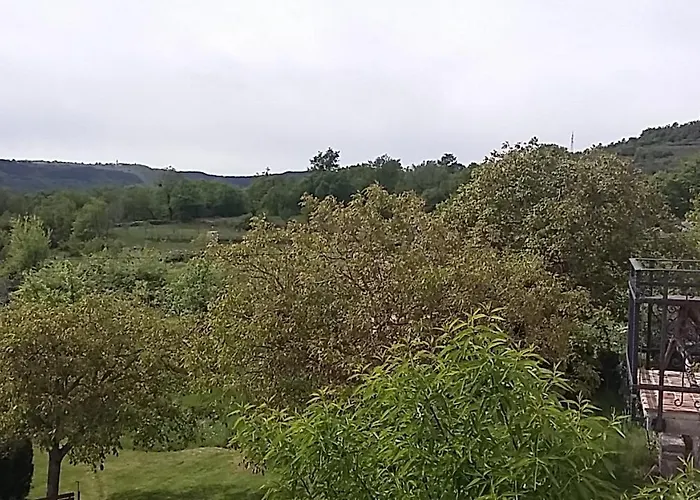 Family Friendly With A Swimming Pool Veli Mlun, Istria - Sredisnja Istra - 13099